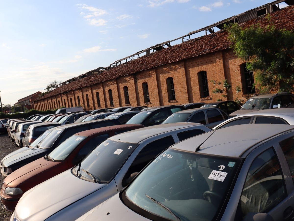 Direito para Leilões